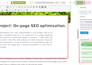 do on page and technical SEO services for google fast page